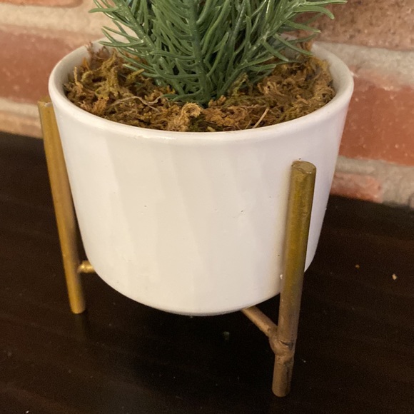 Decorative Potted Tree Shrub on Stand - Picture 2 of 8